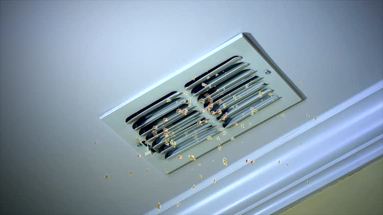 Best Affordable Duct Cleaning Services  in Brickerville, PA
