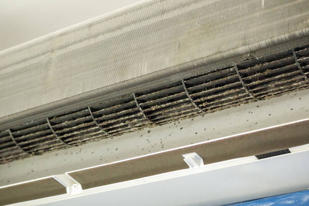 Best Air Duct Cleaning Near Me  in Brickerville, PA